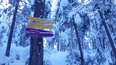 Winterwanderweg hinter dem Haus