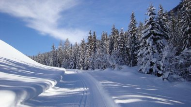 traumhafte Langlaufloipen in  verschneiter Natur