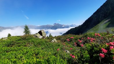 hinter'm Zwölfer Berg