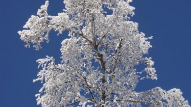 Winteridylle, © Gidnhof