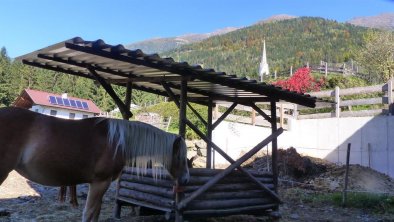 Beim Salzstein