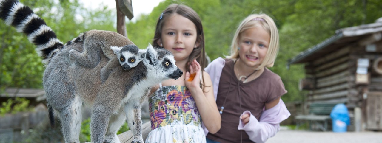 Raritätenzoo Ebbs, © Kufsteinerland