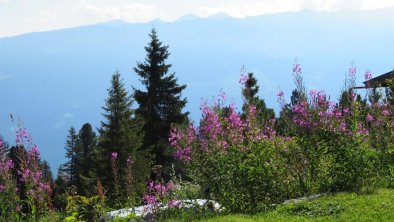 Garten Alpin-Ferienwohnungen Hochzillertal, © Alpin-Ferienwohnung Hochzillertal