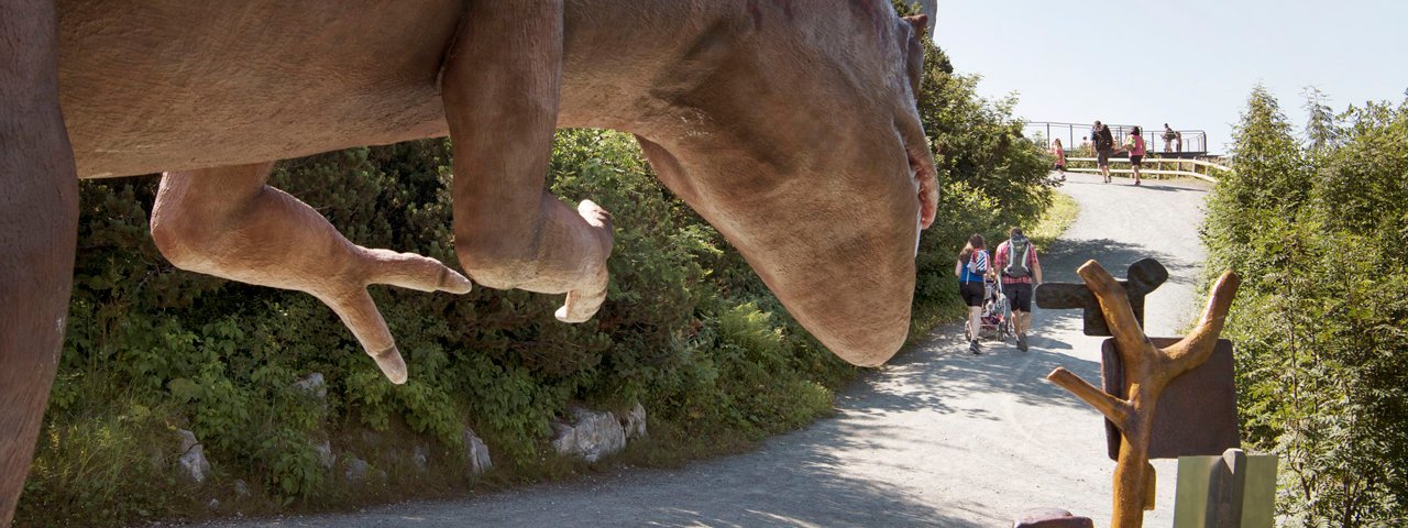 Auf dem Triassic-Trail, © Tirol Werbung/Frank Bauer