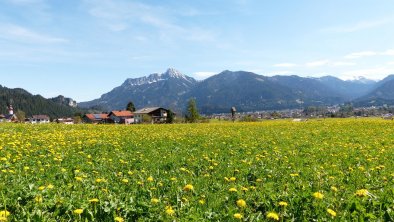 Haus "Fuchs" am Dorfrand, Aufnahme: Mai, gegen N