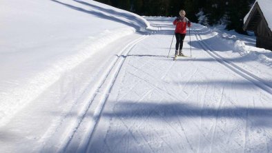 Langlaufen in Osttirol