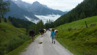 Auf der Alm