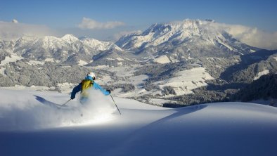 Freeride Lärchfilzkogel Bergbahnen Fieberbrunn