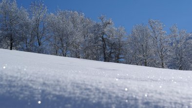 Winter- Wonderland