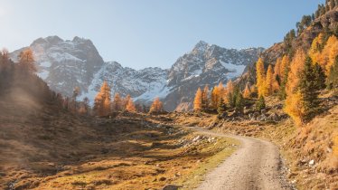 Kurz vor der Tiefentalalm, © Jannis Braun