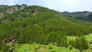 Ausblick vom Stiegenaufgang