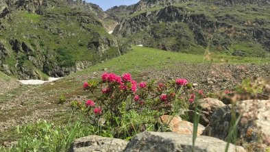 die Berge im Ötztal