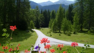 Haus_Waldbauern_Blick_ Richtung_ See