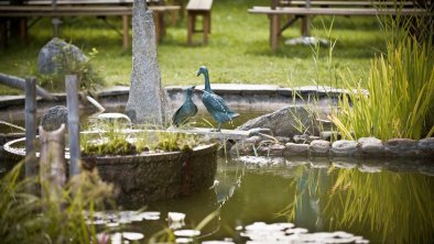 Unser Teich im Biergarten