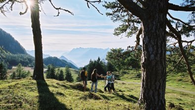 Holzalm wandern, © Alpbachtal Tourismus / Bernhard Berger