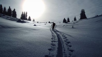 Spuren+im+Tiefschnee+Wildschönau