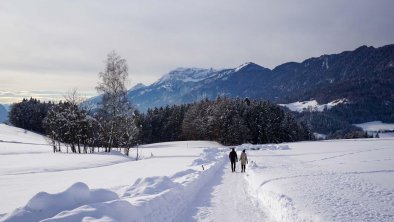 Winterspaziergang