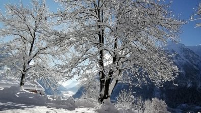 Winter in Oetzerau