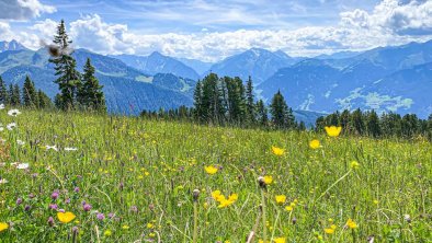 Zillertal Arena Bloemen