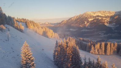 Blick von der Gondel Hartkaiserbahn