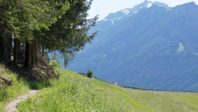 Wanderwege am Appartement Riedhof