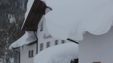 Schnee Wiesenheim