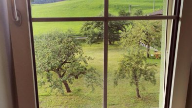 Landidyll am Thiersee - Ausblick