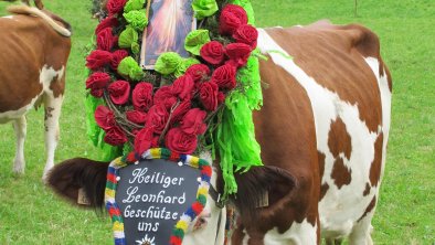 Almabtrieb Wildschönau geschmückte Kühe Rechte Wil