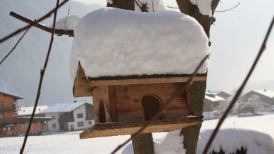 Winterbild Vogelhaus