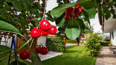 Garten vom Apartmenthaus Juen, © im-web.de/ DS Destination Solutions GmbH (eda52)