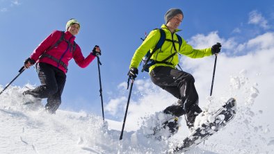 Snow Shoe Tours