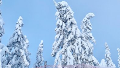 Winter in der Wildschönau