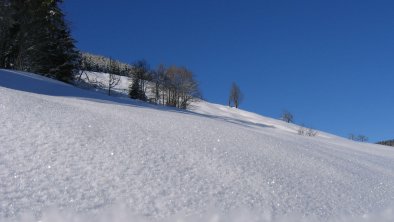 Schneekristalle