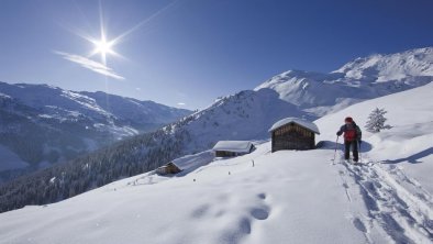 Schneeschuhwandern