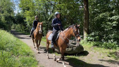 Reiten Aktivität