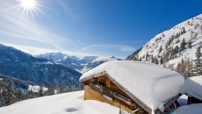 Angerer Appartements Landschaft Winter 4, © Alpbachtal Tourismus / Bernhard Berger