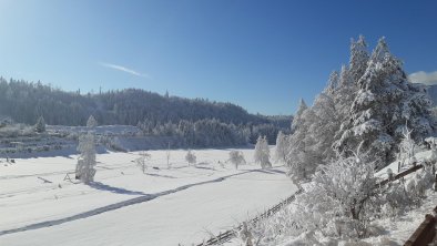 Blick auf den Reintalersee, © Haflingerhof