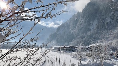 Langlaufloipe direkt vor der Türe