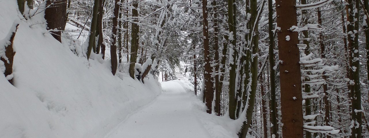 Winterwanderung Tulfes