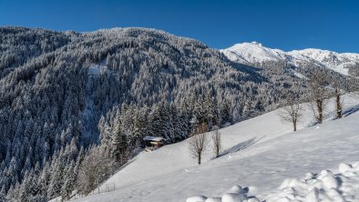 Aussicht-Haus-Schöser