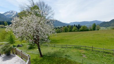 Aussicht Terrasse1