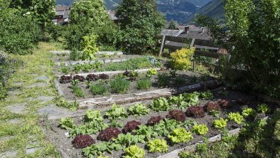 _DSC7965 Bauerngarten