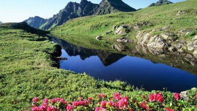 sommerurlaub-in-tirol-alpbach-11_01