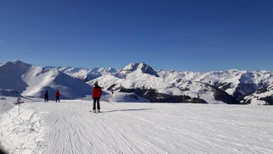 Panorama auf dem Steinbergkogel