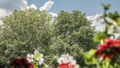 Aussicht von Balkon groß Taxach, © Christine Klocker