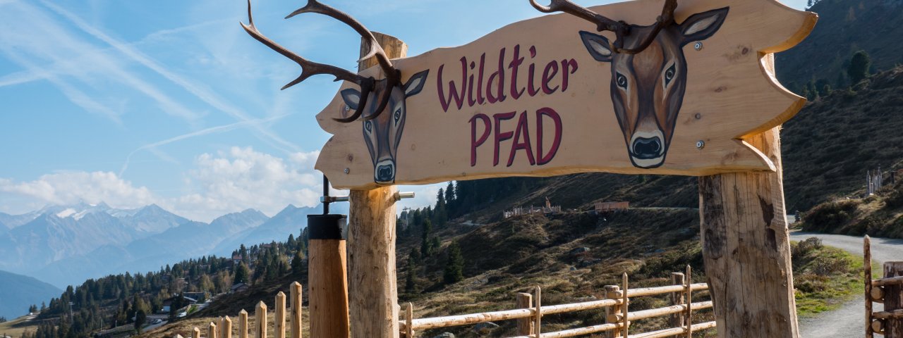 Hier startet das Abenteuer Hubertus Wildtierpfad., © filmingpool