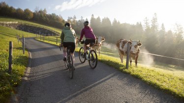 Kaiserwinkl, © Tirol Werbung / Oliver Soulas