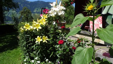 Blumenpracht_Apart_Ponholz_Zillertal_Herbst_Hart_i