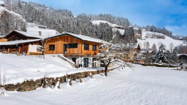 Alpenchalet_Zur_Hinterochsenweide_Ritschberg_3_Bri