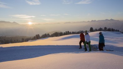 Rodeln und Schlittenfahren